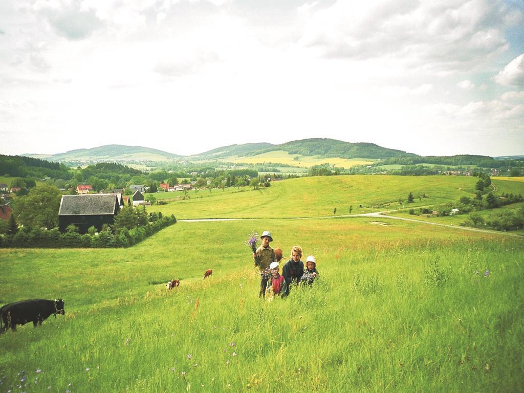 Ferienwohnungen Harmonie Und Bergblick Crostau Buitenkant foto